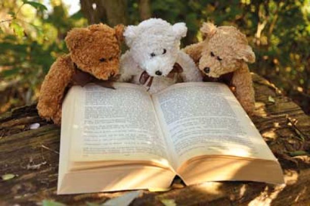 Teddy lesen ein Buch